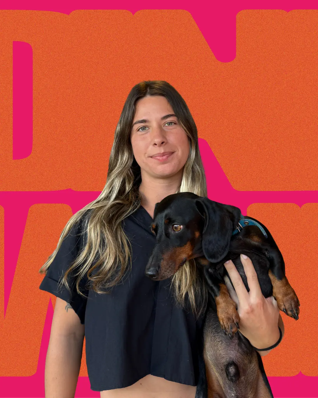 Foto de Jocha, Data & Performance